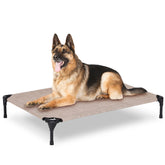 PVY-lit-chien-surleve-exterieur en gris, cadre robuste.