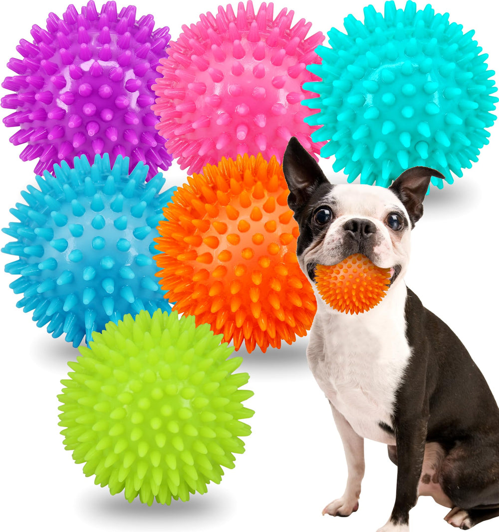 Balles Pweituoet qui font du bruit pour petit chien, stimulation ludique.