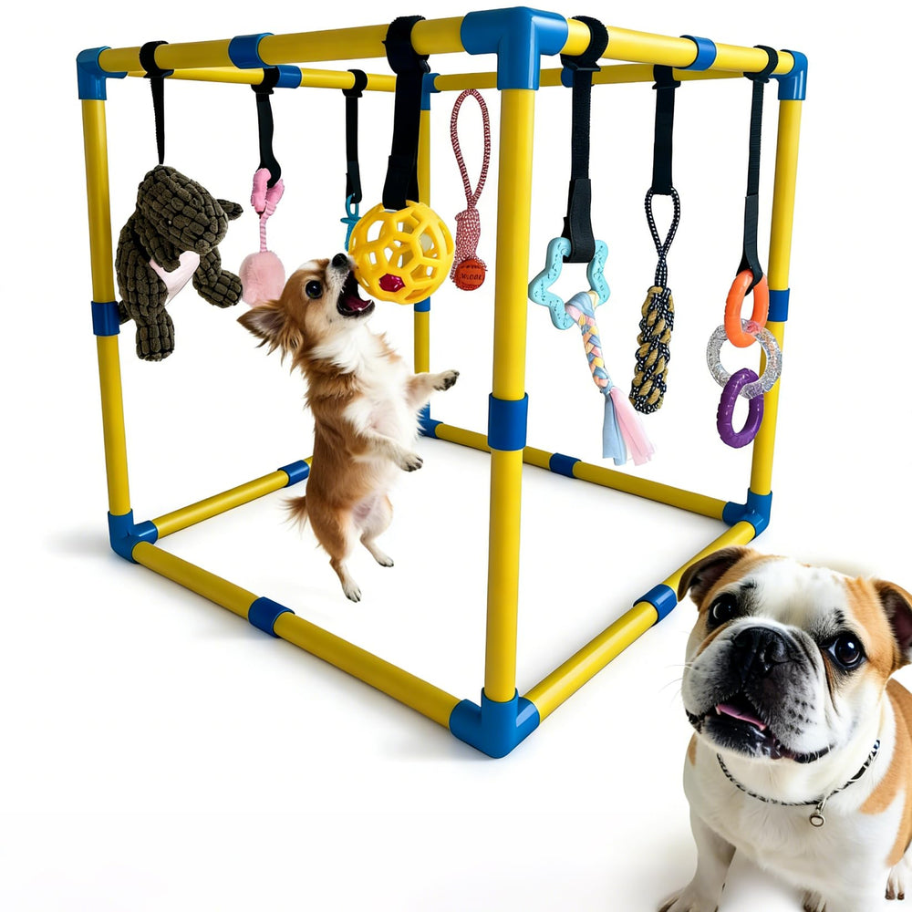 Pwvivjoi: cadre PVC 24x24 offrant stabilité et sécurité pour chiot actif.