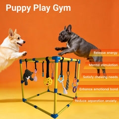 Pwvivjoi: jouet-cache pour chiot, élément surprise stimulant et durable.