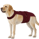 QBLEEV couches-chienne femelle ajustables pour un maintien personnalisé et confortable.