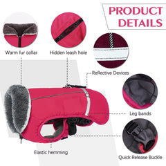 Veste canine QBLEEV avec fermetures rapides facilitant l'habillage et le démarrage des sorties.