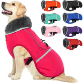 Manteau QBLEEV pour chien réfléchissant et étanche, chaleur et sécurité lors des balades nocturnes.