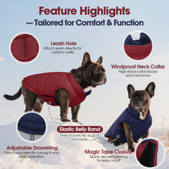 Manteau QBLEEV anti-vent pour chien, chaleur légère pendant les promenades.