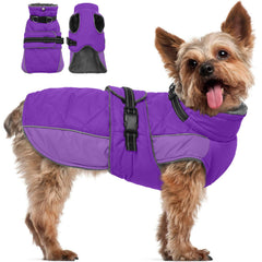 Veste chaude QBLEEV pour chien avec bandes réfléchissantes pour sorties nocturnes sûres.