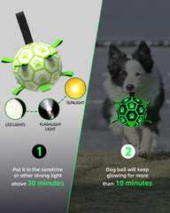 QDAN balle lumineuse 6 pouces pour chien, retrouvage facile au clair de lune.