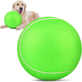 QDAN balle-tennis-gigante pour chien en extérieur, idéale pour dépenser son énergie.
