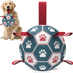 QDAN ballon-foot-chien avec sangles parfait pour jeux extérieurs et stimulation.