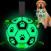 Balle lumineuse QDAN pour chien qui brille la nuit et améliore la visibilité.
