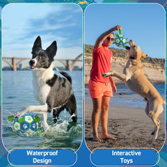 QDAN Jouet aquatique pour chien avec anses, parfait pour piscine et plage.