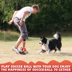 Balle QDAN interactive avec sangles facilite la saisie et les fetch.