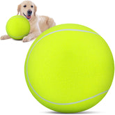 QDAN balle tennis chien 9,5 pouces, idéale pour rapporter en extérieur.