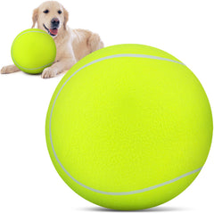 QDAN balle tennis chien 9,5 pouces, idéale pour rapporter en extérieur.