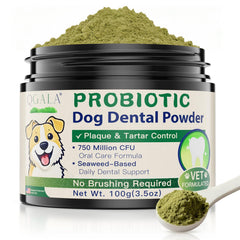 Qgala poudre dentaire chien doseur — dosage quotidien simple pour repas