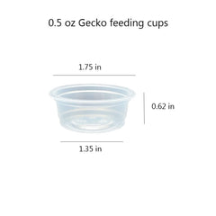 Lot de 100 tasses QIHYCUF, idéal pour nourriture et eau des petits reptiles.