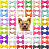 QingHan noeud chien petit 2 pouces pour un look quotidien élégant