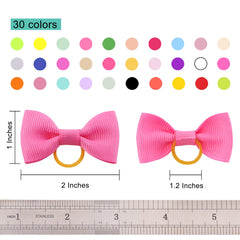 Nœuds colorés QingHan pour petit chien, prêt pour grooming et photos.