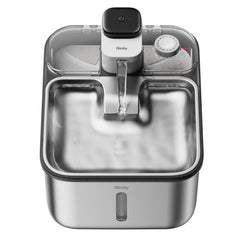 Fontaine Qinliy en acier inoxydable sans fil pour chats, eau hygiénique et durable.