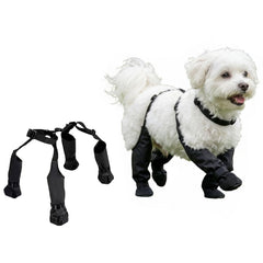 QINSHIYUE bottes pour chien imperméables protégeant les pattes sous la pluie