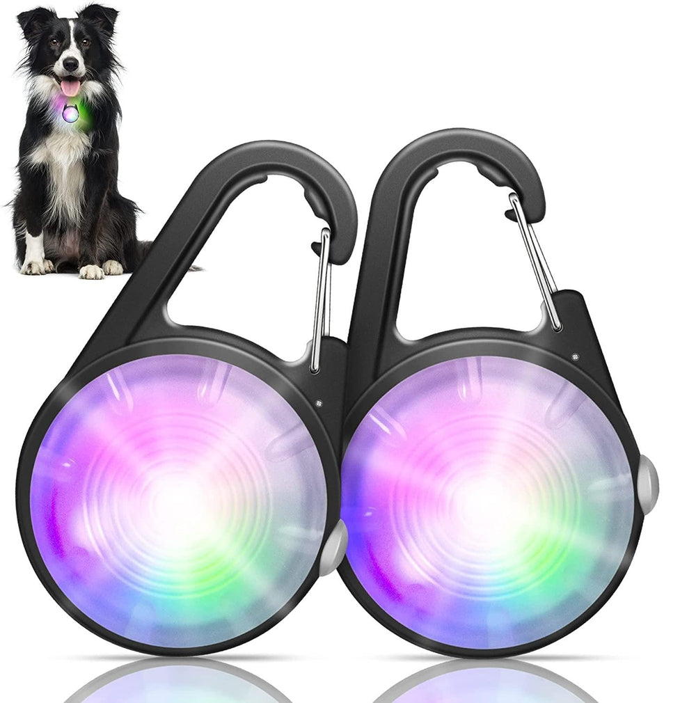 Collier lumineux QIZIYARDALL brillant, visibilité accrue pour promenades nocturnes.