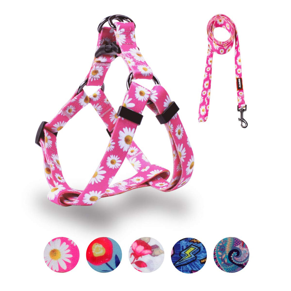 QQPETS harnais chien motif Daisy pour un look distinct lors des promenades.