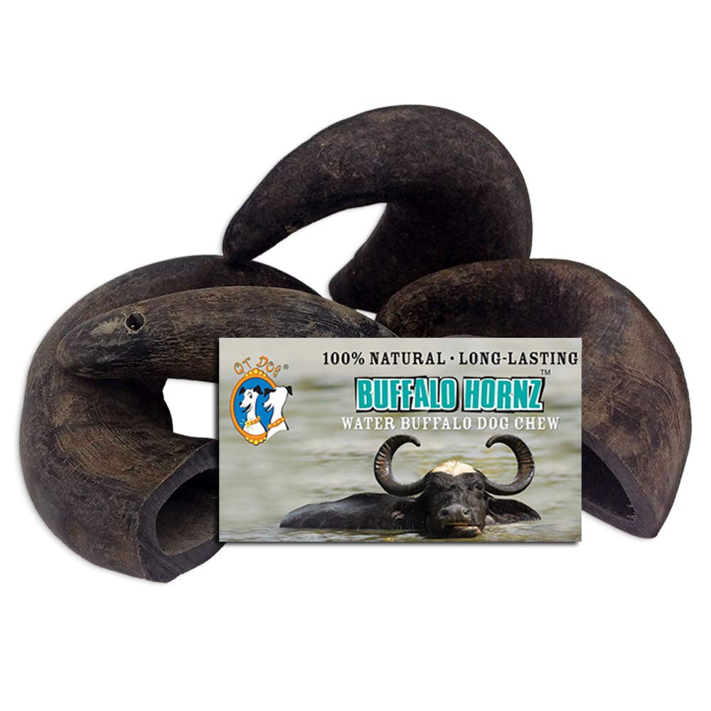 QT Dog Buffalo Hornz petit os à mâcher, pack quatre, plaisir durable.