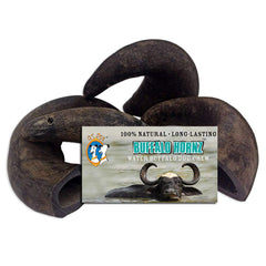 QT Dog Buffalo Hornz petit os à mâcher, pack quatre, plaisir durable.