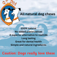 QT Dog Gobi: lot de 4, idéale pour rotation quotidienne chez chiens actifs.