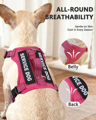 Patchs service chien 6 pièces pour kit démarrage QUDLIMO.