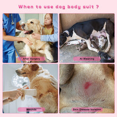 Détails de la poche sous le ventre dans la combinaison QUEARN pour chien.