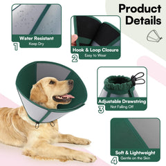 Queenmore – prévention du léchage pour chien, récupération plus propre.