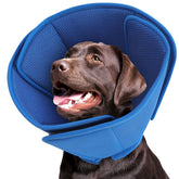 Cône doux Queenmore pour chien grand, protège le museau tout en restant confortable.