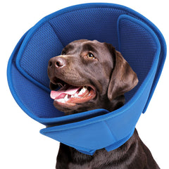 Cône doux Queenmore pour chien grand, protège le museau tout en restant confortable.