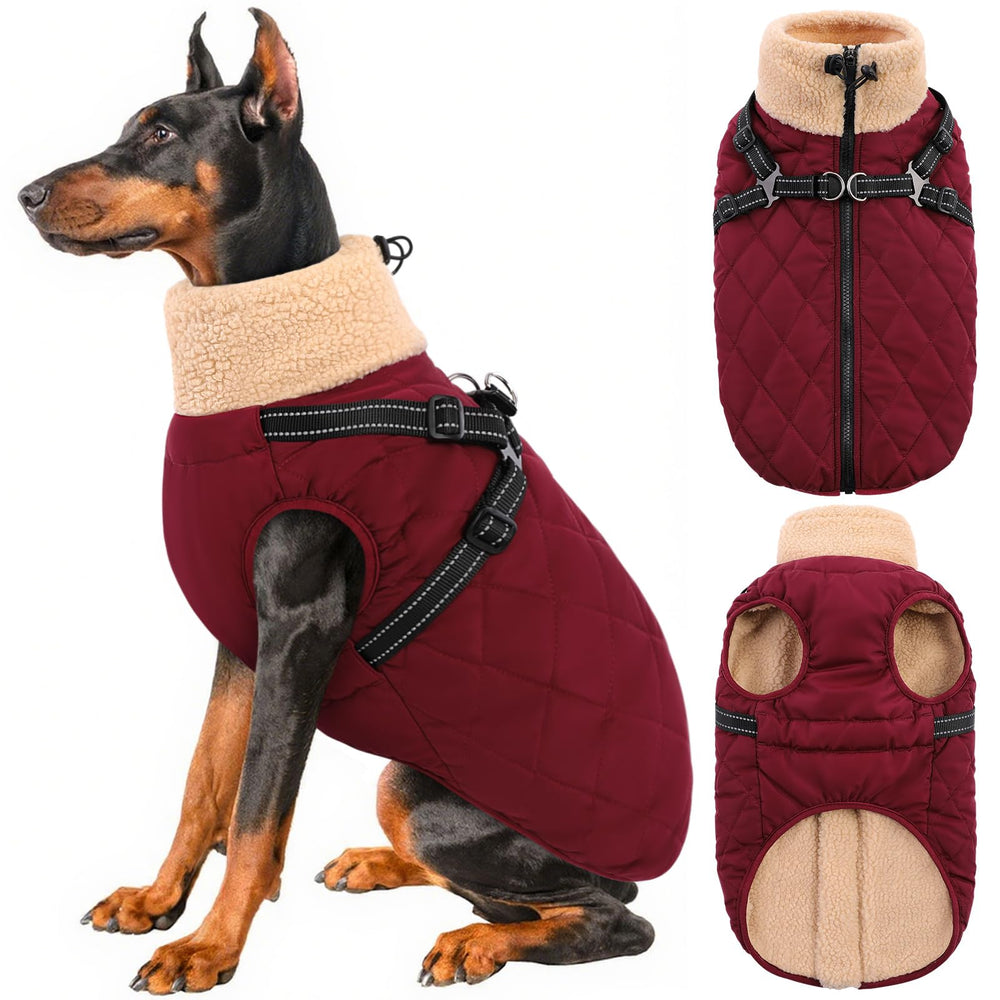 Gilet Queenmore pour chien avec harnais intégré, pratique lors des promenades sous la pluie.
