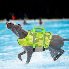 Poignée de sauvetage du gilet Queenmore sur le dos pour sortir facilement l’animal de l’eau.