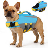 Queenmore gilet sauvetage chien ajuste moyen pour natation confortable et sécurisée