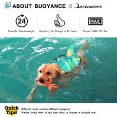 Queenmore gilet sauvetage chien impression requin vert: style attractif pour les activités en extérieur.