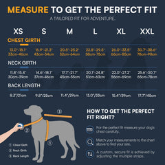 Queenmore gilet sauvetage chien moyen - poignée secours pour levage rapide