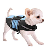 Queenmore gilet sauvetage petit chien design mignon et léger pour sorties bateau