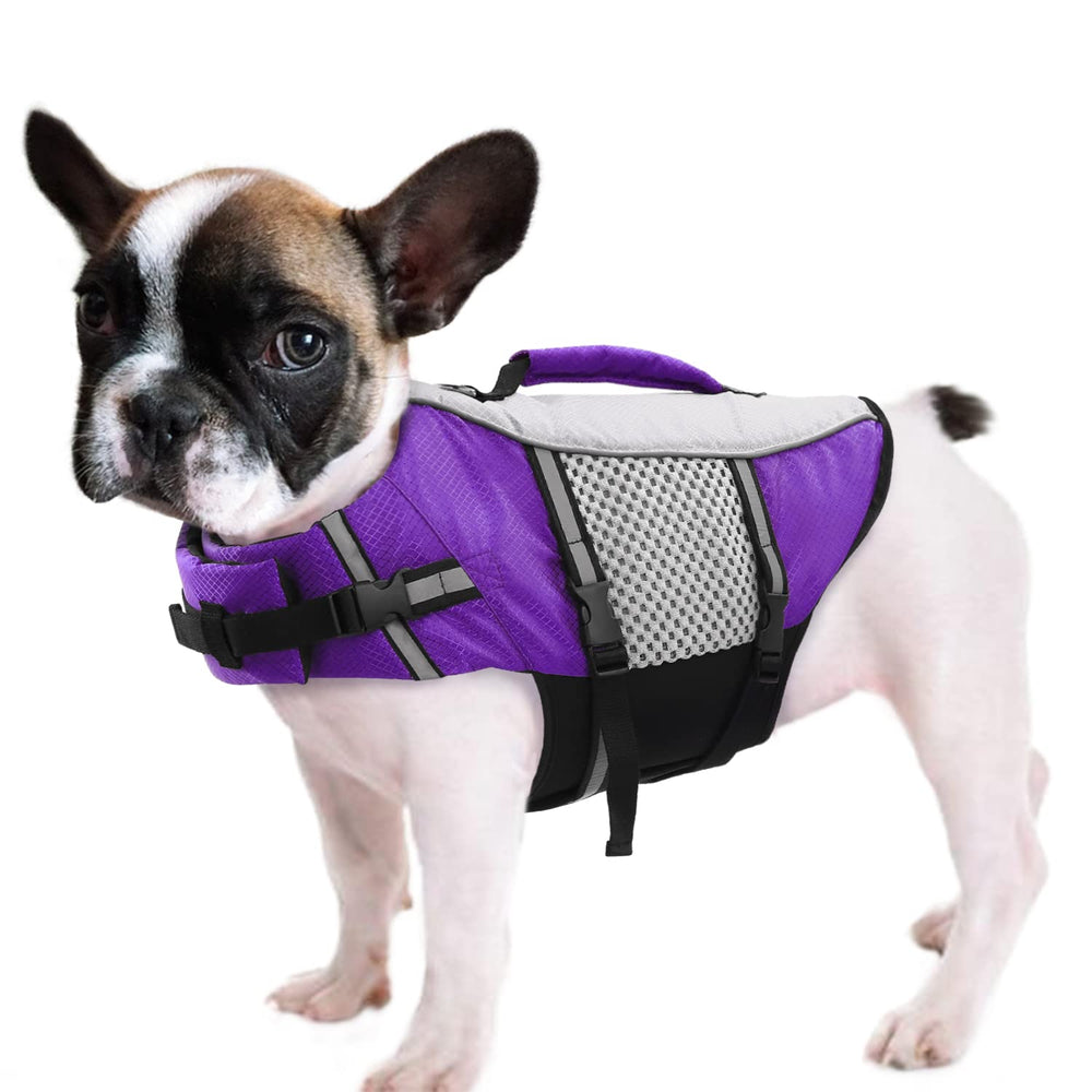 Gilet Queenmore réfléchissant violet pour chien, visibilité accrue lors de sorties aquatiques.