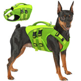 Queenmore gilet sauvetage chien vert 2XL pour flotter en securite