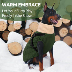Queenmore manteau chien grand hiver imperméable Oxfor pour temps pluvieux.