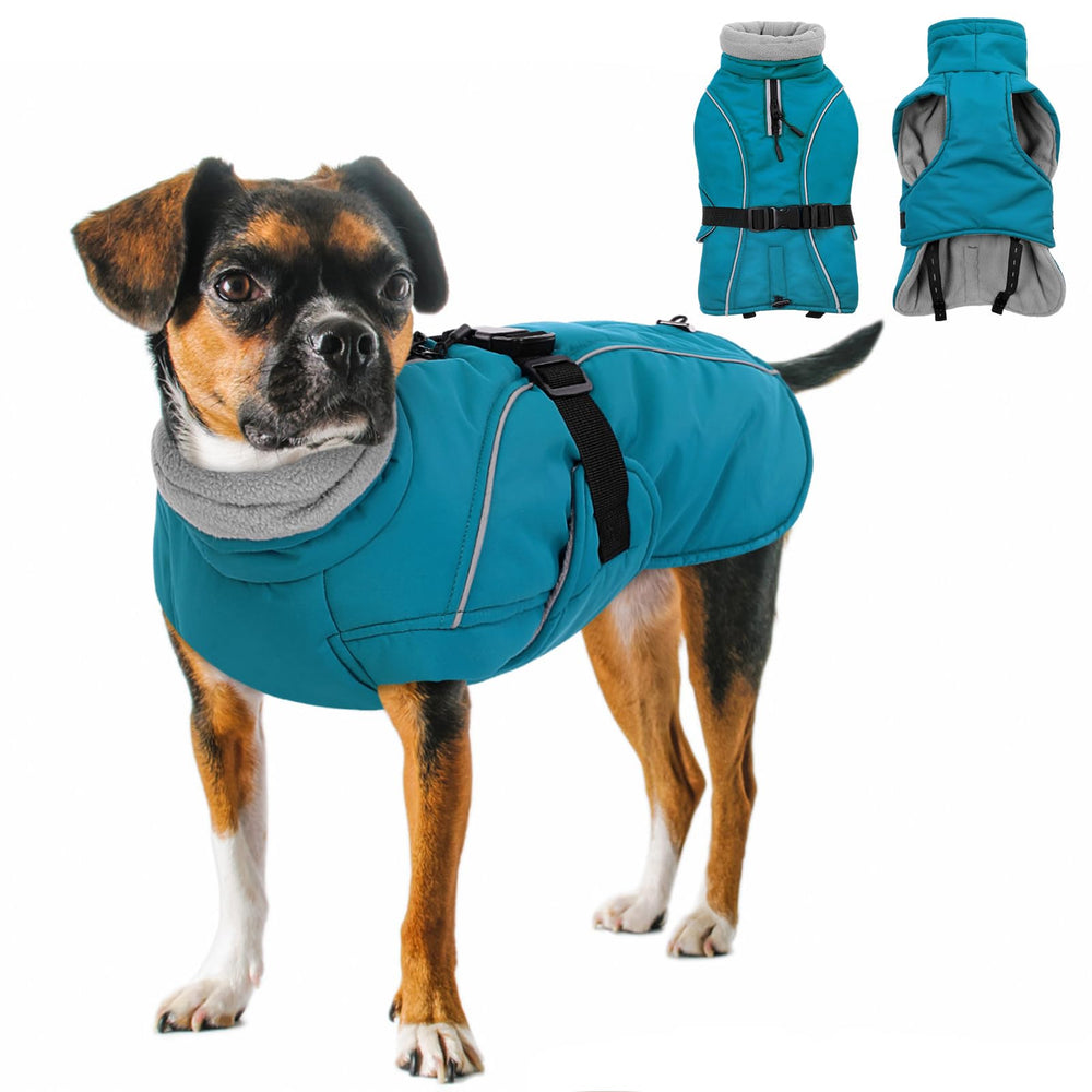 Queenmore manteau chien hiver bleu M avant — chaleur douce pour sorties hivernales.