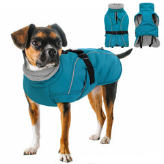 Queenmore manteau chien hiver bleu M avant — chaleur douce pour sorties hivernales.