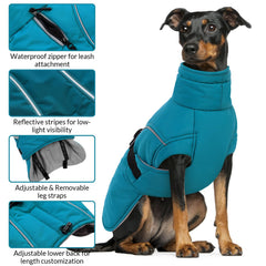 Queenmore manteau chien hiver bleu M impermeable — garde le chien au sec.