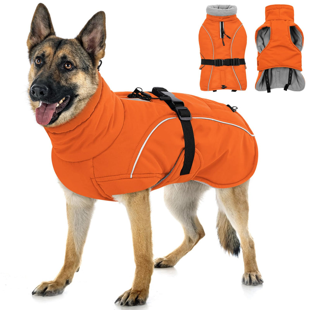 Manteau Queenmore pour chien hivernal, isolant et doux.