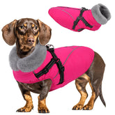 Queenmore manteau chien petit avec harnais intégré pour promenades sécurisées.