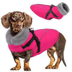 Queenmore manteau chien petit avec harnais intégré pour promenades sécurisées.