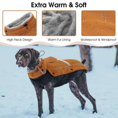 Queenmore manteau chien réfléchissant augmente la visibilité nocturne.