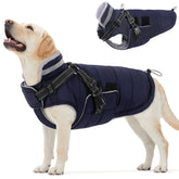 Queenmore manteau hiver chien gros – protection chaude pour promenades hivernales.